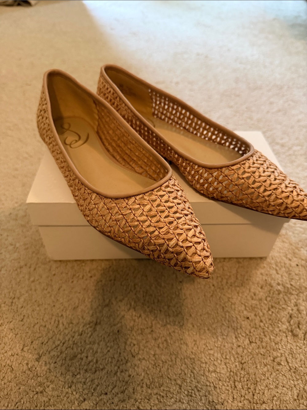 Sam Edelman Woven Pointed-Toe Flats in Tan